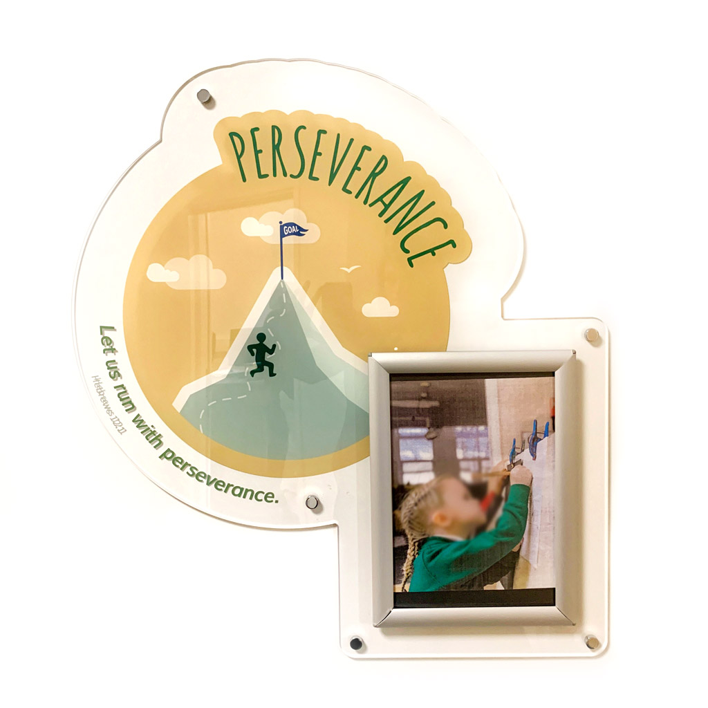 Updatable Vision and Value Displays