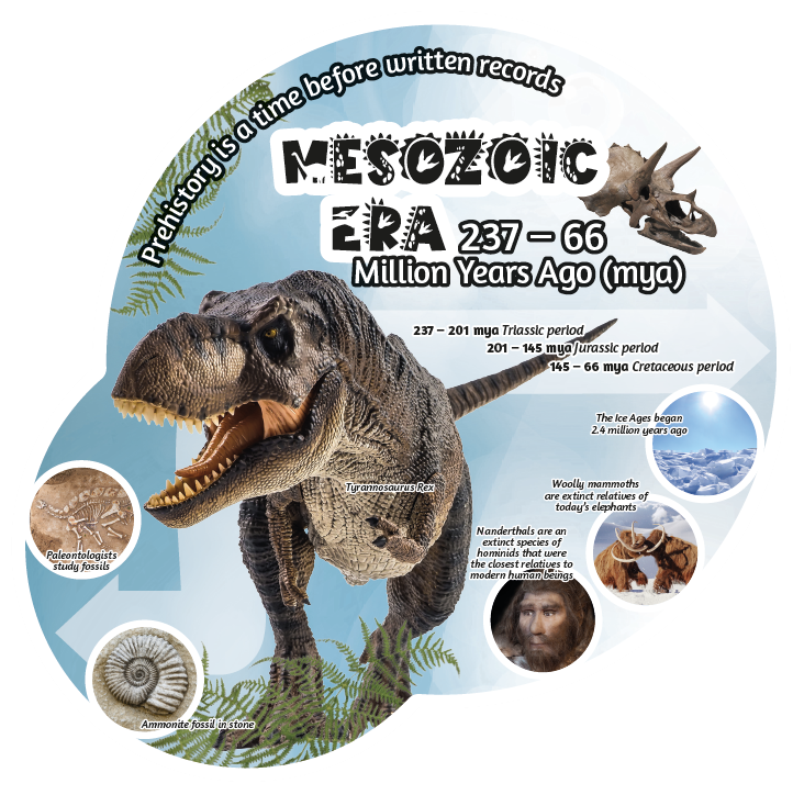 History Era Display Boards - Image 2