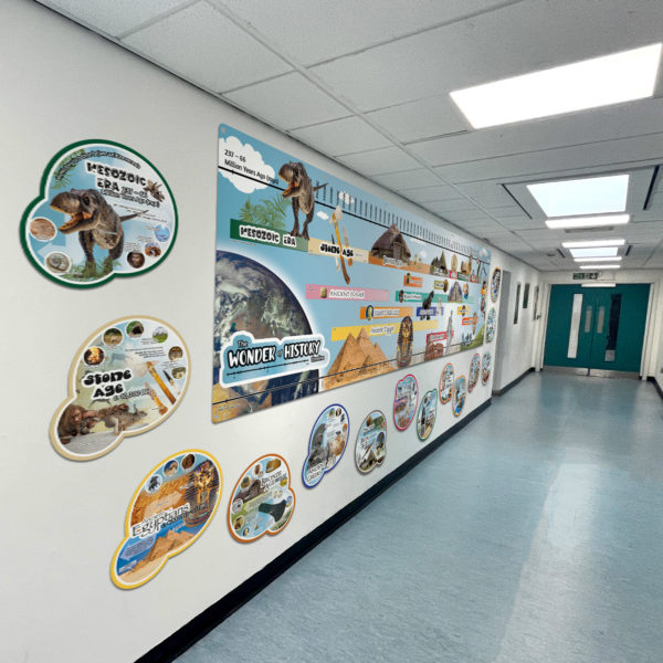 History Timeline Display - Image 3